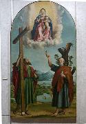 Madonna of the Oak, Sacred conversation with the Virgin and Child Jesus, St. Andrew